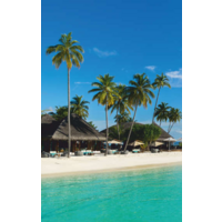 БРТЗ Дыхание тепла Мальдивы Image #1