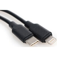 Cablexpert CCP-USB-CMLM2-1M Image #2