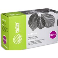 CACTUS CS-DR2175