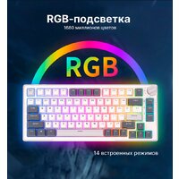 Royal Kludge RK-H81 RGB White Night (RK Brown) Image #14