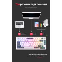 Royal Kludge RK-H81 RGB White Night (RK Cyan) Image #13