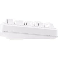 Ajazz AK680 Max (Side Printed, белый, Magnetic Rice Switch) Image #7