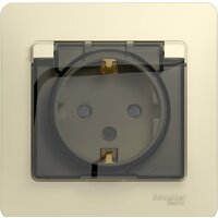 Schneider Electric Glossa GSL000248 (бежевый)