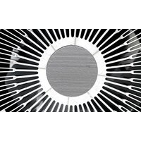 Arctic Alpine 17 ACALP00040A Image #2