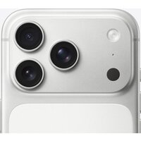 Apple iPhone 17 Pro 256GB (серебристый) Image #4