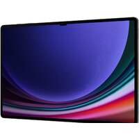 Samsung Galaxy Tab S9 Ultra Wi-Fi SM-X910 12GB/256GB (графитовый) Image #7