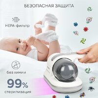Planta PL-VCD01 Image #6