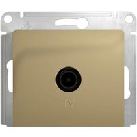 Schneider Electric Glossa GSL000491 (титан) Image #1