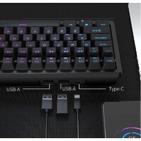 Royal Kludge RK98 RGB (черный, RK Brown) Image #3