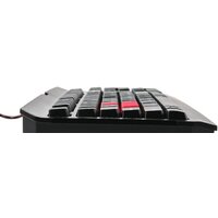 A4Tech Bloody Q100 Image #3