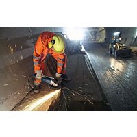 Bosch GWS 24-230 JH Professional (0601884203) Image #2