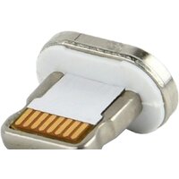 Cablexpert CC-USB2-AMLM-8P