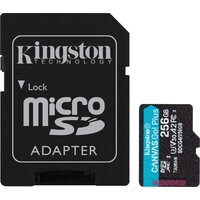 Kingston Canvas Go! microSDXC 256GB SDCG4/256GB (с адаптером) Image #1