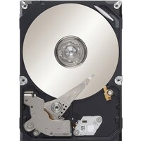 Huawei 02311HAS 300GB