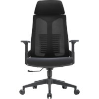 Insite Rise 1-IS-MC-0509 (черный)