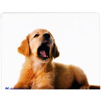 Defender Silk (50706) Image #8