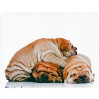 Defender Silk (50706) Image #10