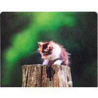 Defender Silk (50706) Image #3