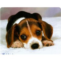 Defender Silk (50706) Image #2