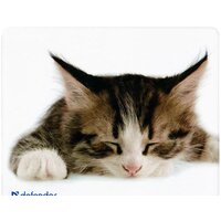 Defender Silk (50706) Image #5