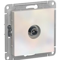 Schneider Electric Atlas Design ATN000491