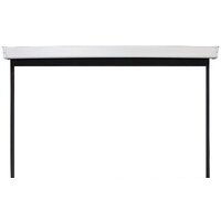 Future Vision Video Electric 200x150 E200VMW