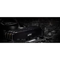 ADATA XPG GAMMIX D20 2x32GB DDR4 PC4-25600 AX4U320032G16A-DCBK20 Image #4