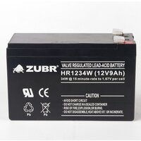 Zubr HR1234W 12V9Ah