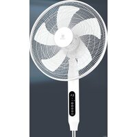 Electrolux EFF-1020i Image #5