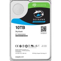 Seagate SkyHawk AI 10TB ST10000VE000 Image #1