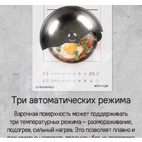 MAUNFELD CVI292S2BBK Inverter Image #19