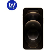 Apple iPhone 12 Pro 256GB Восстановленный by Breezy, грейд B (золотистый)