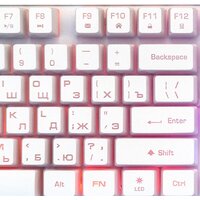 Nakatomi KMG-2305U (белый) Image #6