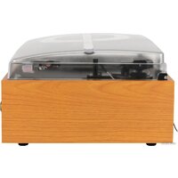 Alive Audio Quattro Light Wood Image #6
