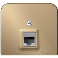 Schneider Electric Blanca BLNIA011004