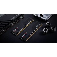 G.Skill Flare X5 4x48ГБ DDR5 6000 МГц F5-6000J2836G48GX4-FX5 Image #12