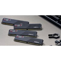 G.Skill Ripjaws S5 2x32ГБ DDR5 6000 МГц F5-6000J2836G32GX2-RS5K Image #5