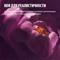 Яндекс ТВ Станция Бейсик QLED с Алисой 50 Image #12