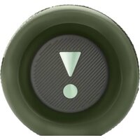 JBL Flip 6 (камуфляж) Image #5