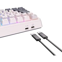 Royal Kludge RK-H81 RGB White Night (RK Blue) Image #5