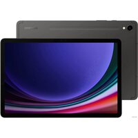 Samsung Galaxy Tab S9 5G SM-X716 12GB/256GB (графитовый) Image #1