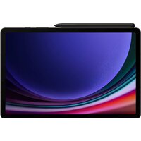 Samsung Galaxy Tab S9 5G SM-X716 12GB/256GB (графитовый) Image #3