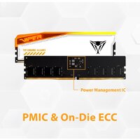 Patriot Viper Elite 5 RGB TUF Gaming Alliance 2x16ГБ DDR5 6000 МГц PVER532G60C36KT Image #11