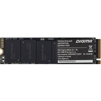 Digma Mega S3 1TB DGSM3001TS33T