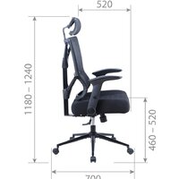 CHAIRMAN CH566 (черный) Image #5