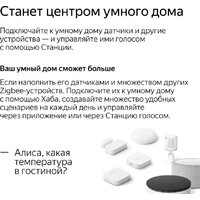 Яндекс Станция Мини 2 с часами (черный оникс) Image #19