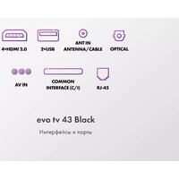 Evo TV 43 Black TD0051752RU Image #5