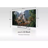 Evo TV 43 Black TD0051752RU Image #11