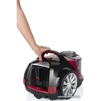 Arnica Tesla Image #9