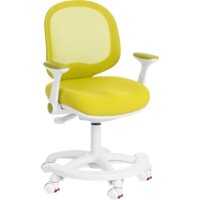 TetChair Rainbow (салатовый)